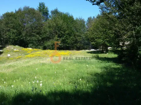 Prodaja, plac, 100000m², Cetinje, Crna Gora - image 5