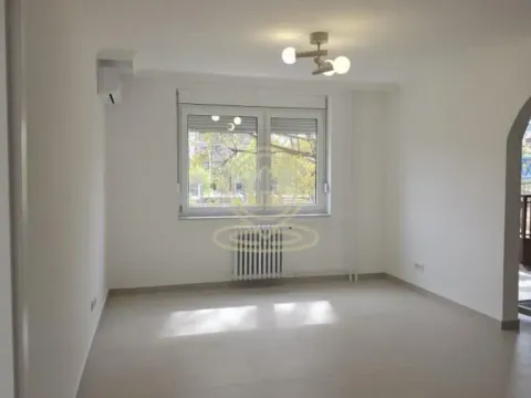 Izdavanje, dvosoban stan, 55m², Stari Grad, Beograd - image 4