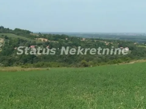 Prodaja, plac, 7600m², Ledinci, Petrovaradin - image 9