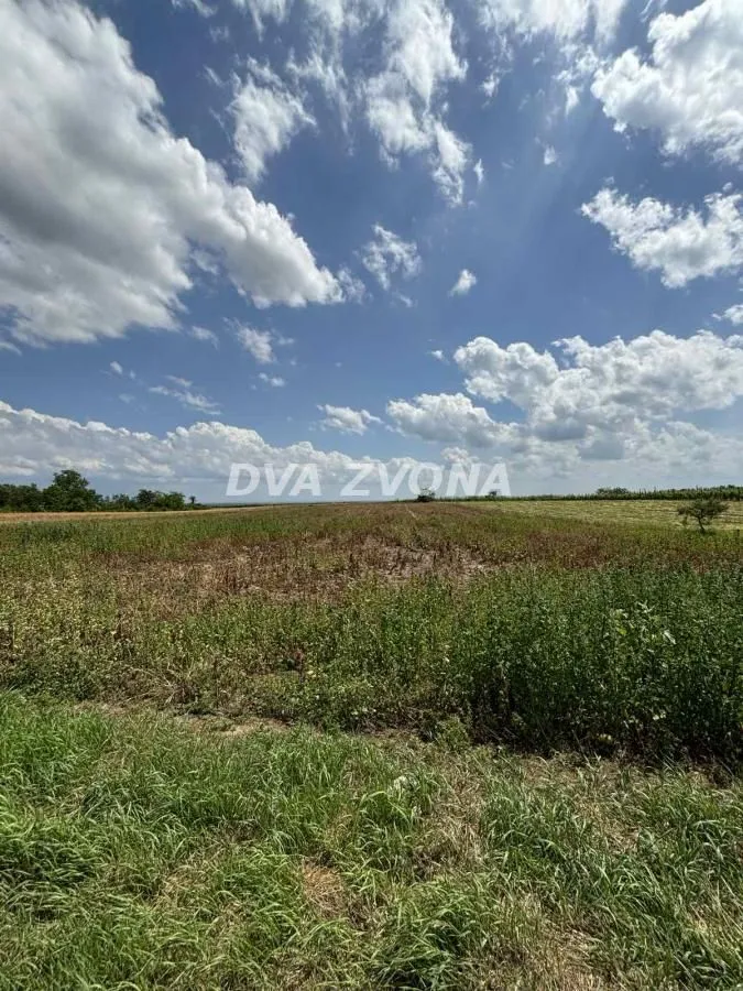 Prodaja, plac, 1000m², Čortanovci, Inđija