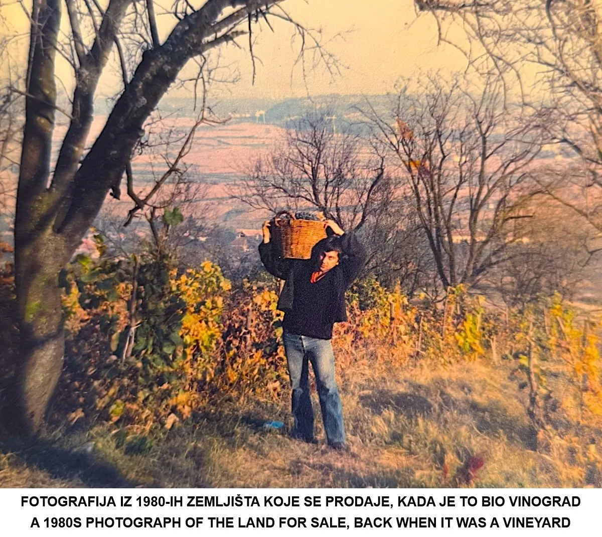 Arhivska fotografija zemljišta iz 1980-ih godina dok je bilo pod vinogradom.