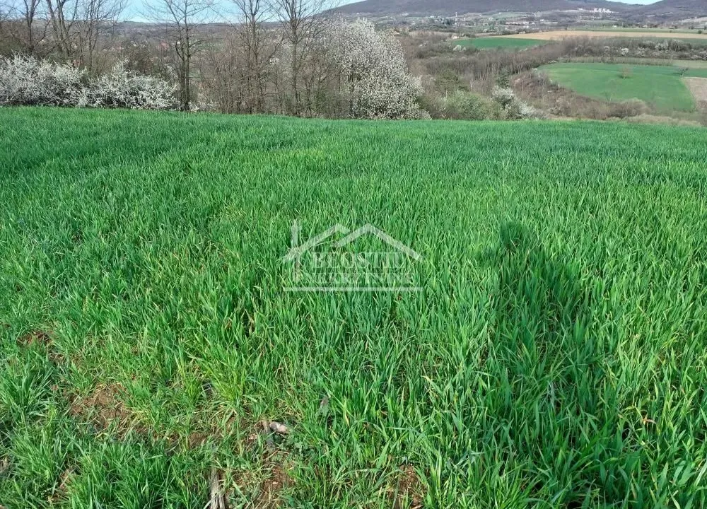 Prodaja, plac, Sopot, Beograd