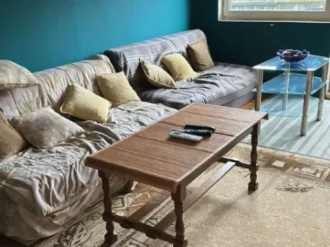 Izdavanje, kuća, 140m², Farmaci, Podgorica - image 3