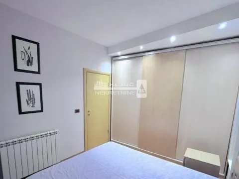 Izdavanje, dvosoban stan, 50m², Vračar Sve Podlokacije, Beograd - image 7