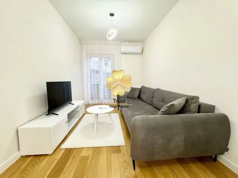 Izdavanje, jednosoban stan, 40m², Central Point, Podgorica