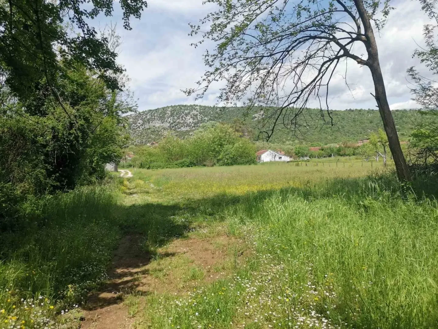 Prostrani zeleni plac okružen prirodom.