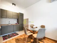 Izdavanje, jednosoban stan, 45m², Pobrežje, Podgorica - image 5