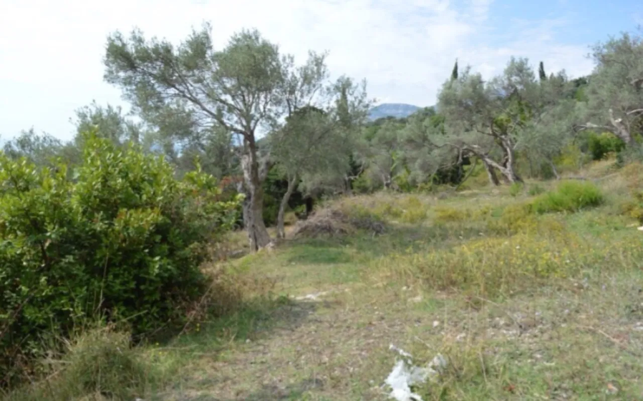 Prodaja, plac, 3014m², Velembusi, Bar