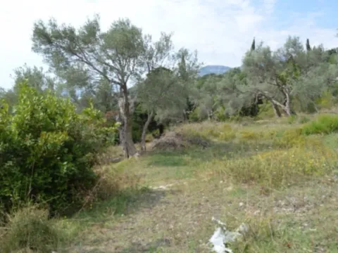 Prodaja, plac, 3014m², Velembusi, Bar - image 2