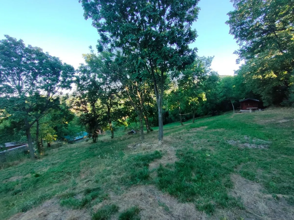 Prodaja, plac, 1900m², Sremska Kamenica, Petrovaradin