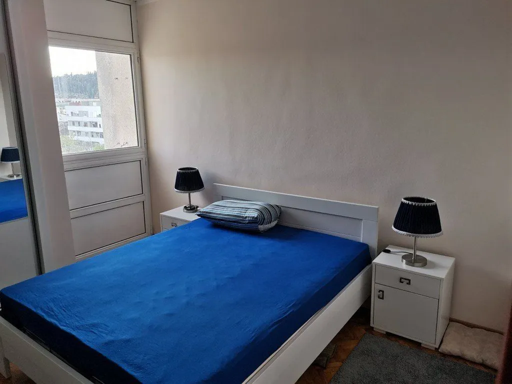 Izdavanje, jednosoban stan, 65m², Centar, Podgorica