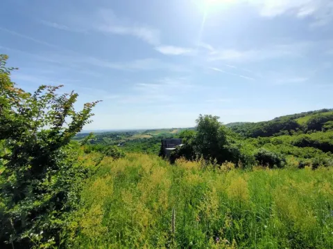 Prodaja, plac, 5600m², Novi Sad, Srbija - image 11