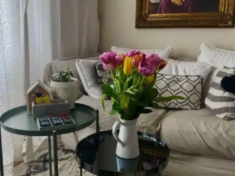 Stan in Dalmatinska ulica