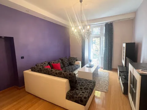 Izdavanje, dvosoban stan, 51m², Vračar Sve Podlokacije, Beograd - image 2