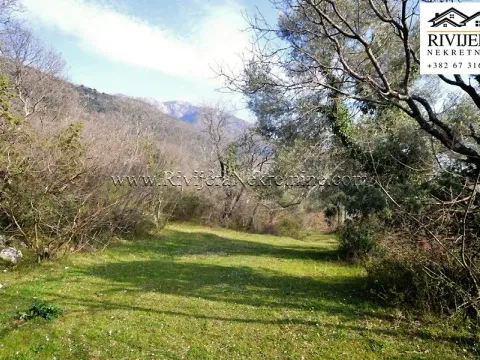 Prodaja, zemljište, 6184m2, Kavač, Kotor Prodaja, zemljište, 6184m2, Kavač, Kotor
