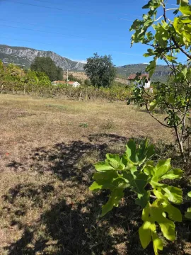 Pogled na prostrano dvorište i okolnu prirodu sa zelenilom. - image 8