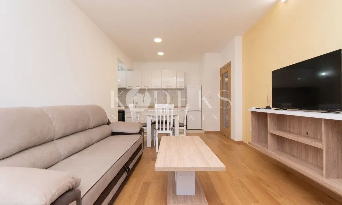Rent, one bedroom apartment, 47m², New City, Podgorica