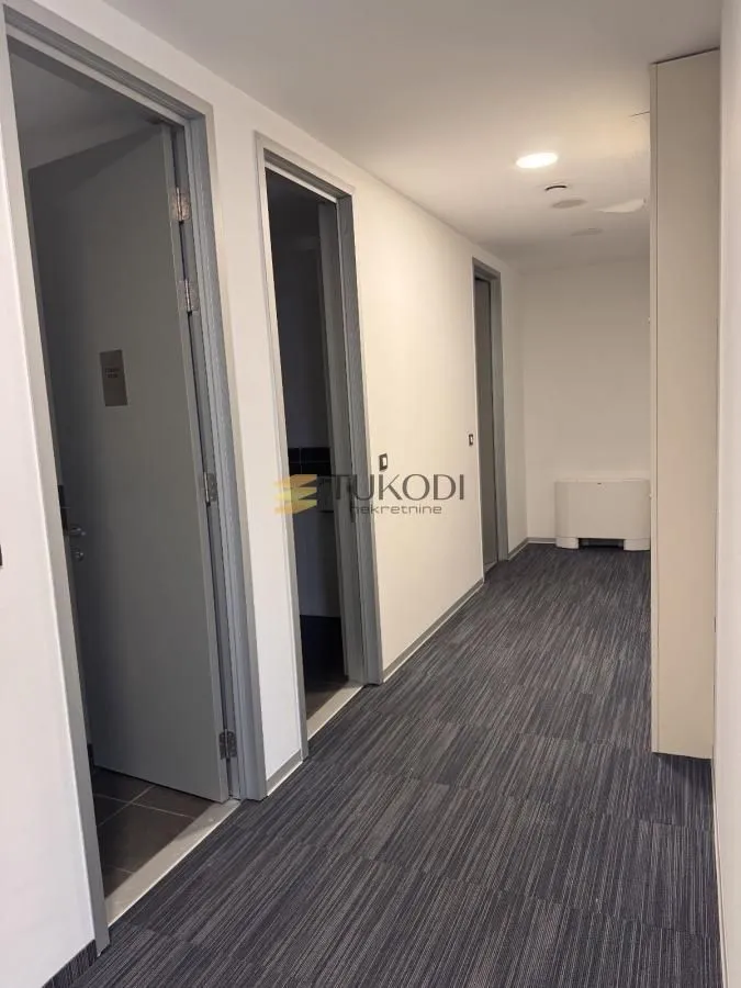 Izdavanje, poslovni prostor, 776m², Novi Beograd Blok 67, Novi Beograd Sve Podlokacije