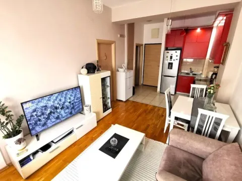 Izdavanje, stan, 42m², Ljubović, Podgorica - image 4