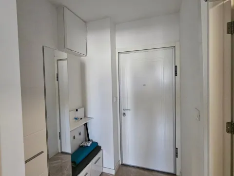 Rent, apartment, 45m², Tološka šuma, Podgorica - image 2
