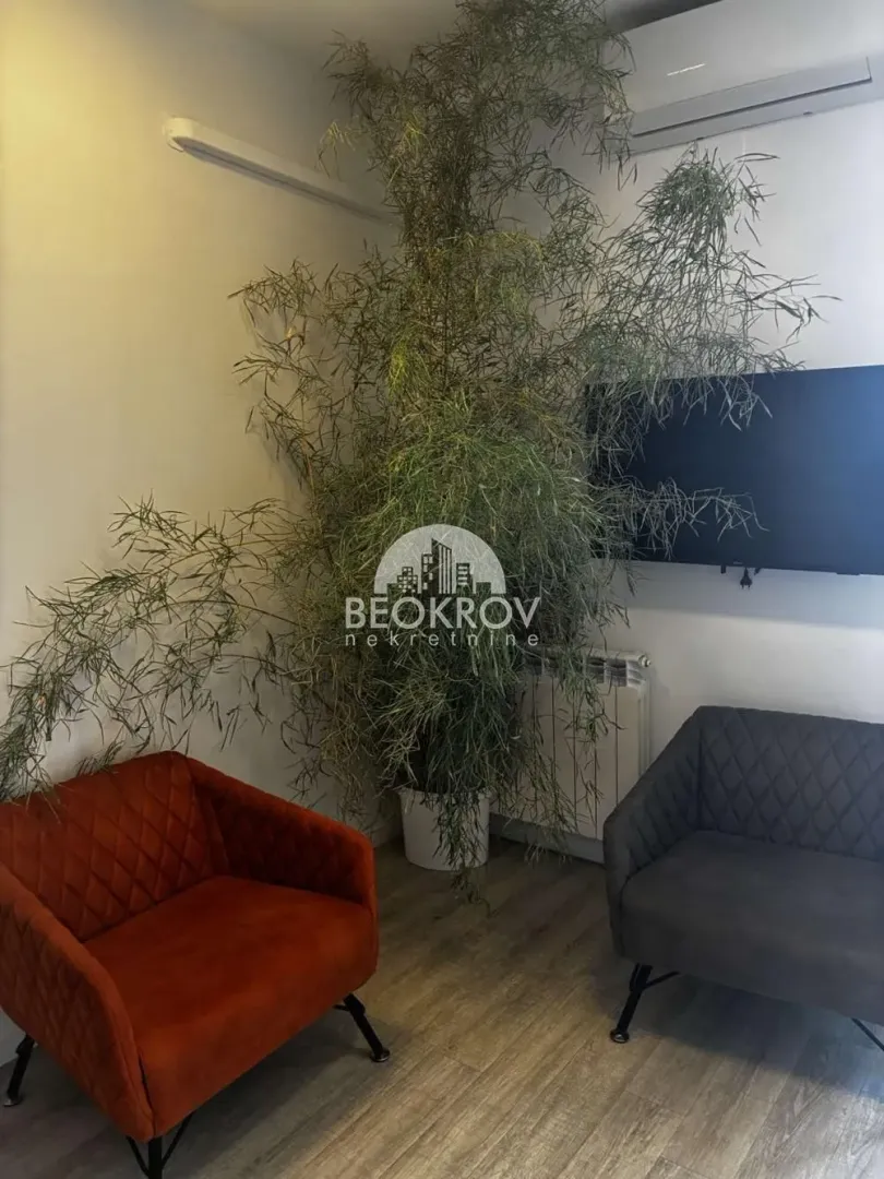 Dnevna soba sa foteljama, televizorom i velikom sobnom biljkom.