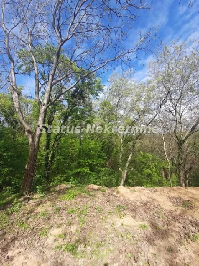 Prodaja, plac, 9283m², Irig, Srbija