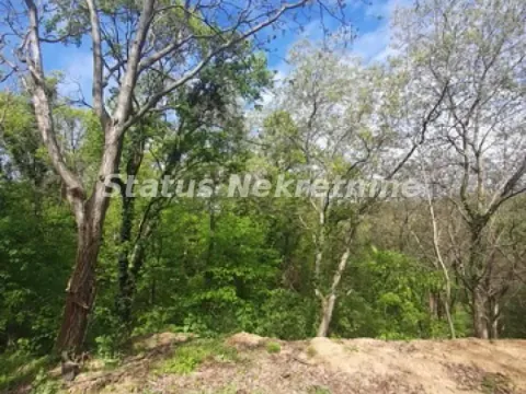 Sale, land lot, 9283m², Irig, Srbija - image 9
