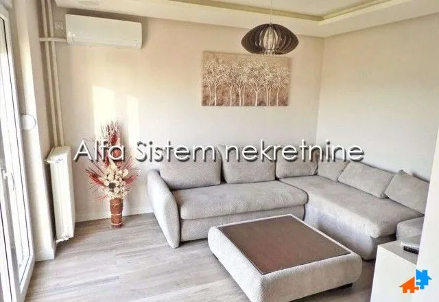 Izdavanje, dvosoban stan, 50m², Vračar Centar, Vračar Sve Podlokacije