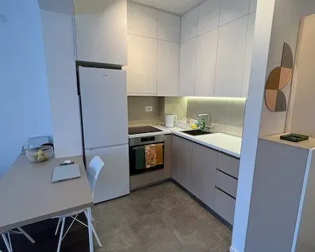 Rent, apartment, 48m², Preko Morače, Podgorica - image 4