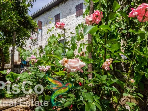 Prodaja, kuća, 250m², Danilovgrad, Crna Gora - image 4