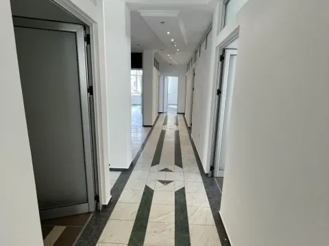 Rent, office space, 245m², Bulevar Oslobodjenja, Novi Sad Sve Podlokacije - image 11