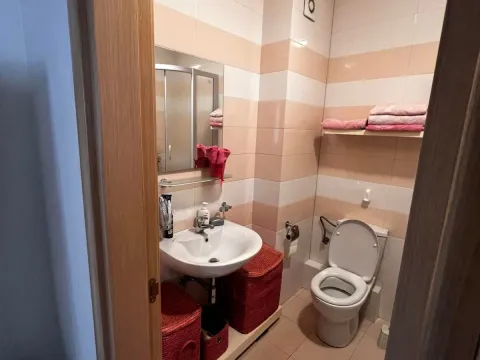 Rent, one bedroom apartment, 54m², Zabjelo, Podgorica - image 6