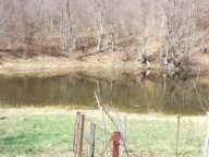 Sale, land lot, 17300m², Crkvine, Kolašin - image 8