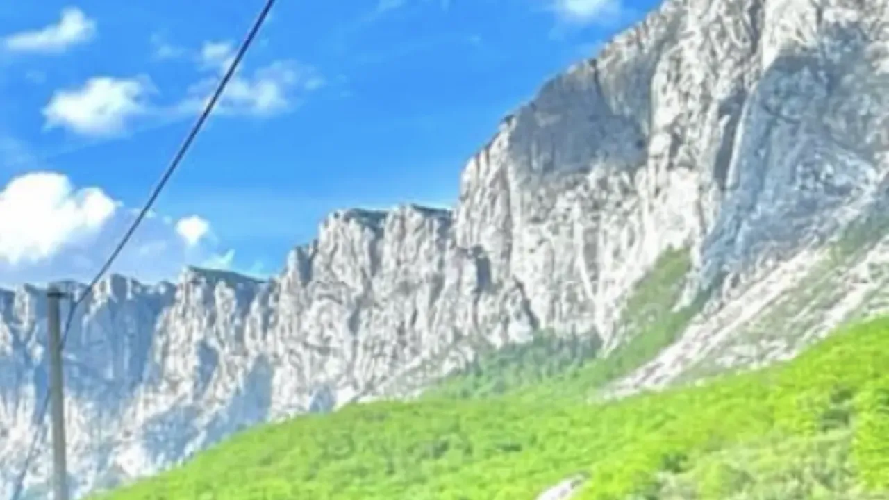 Sale, land lot, 1500m², Pošćenski Kraj, Žabljak