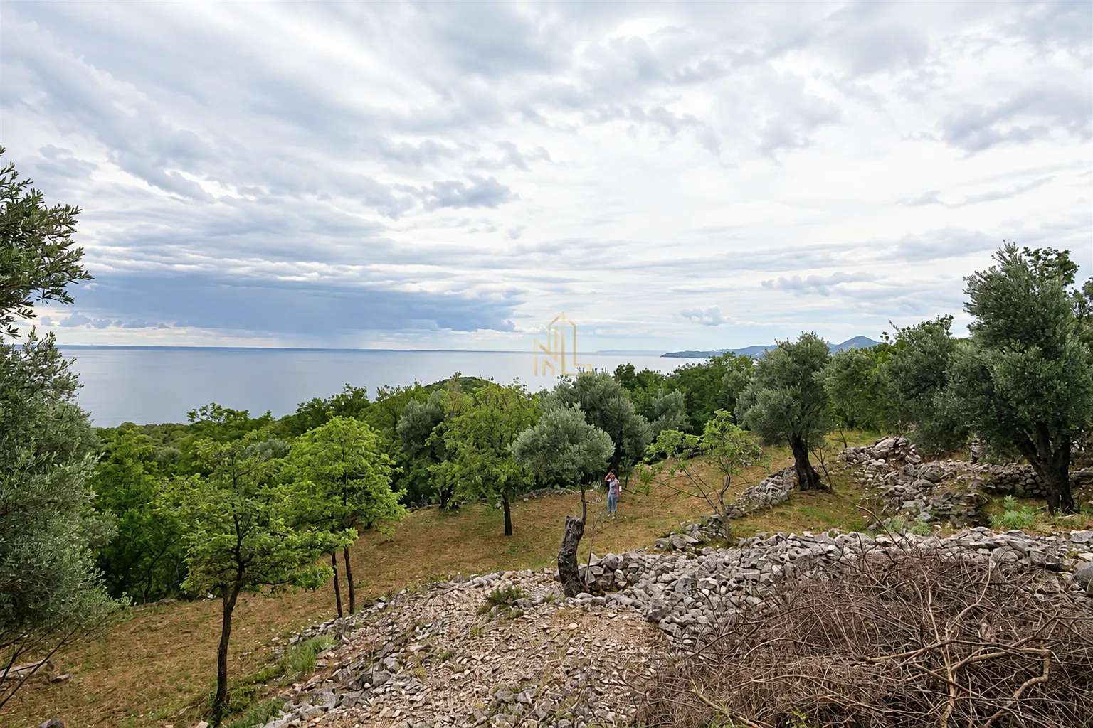 Pogled na zeleno dvorište sa stablima i pogledom na more u pozadini.