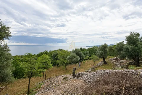 Pogled na zeleno dvorište sa stablima i pogledom na more u pozadini. - image 2