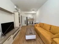 Prodaja, jednosoban stan, 43m², Zabjelo, Podgorica - image 3