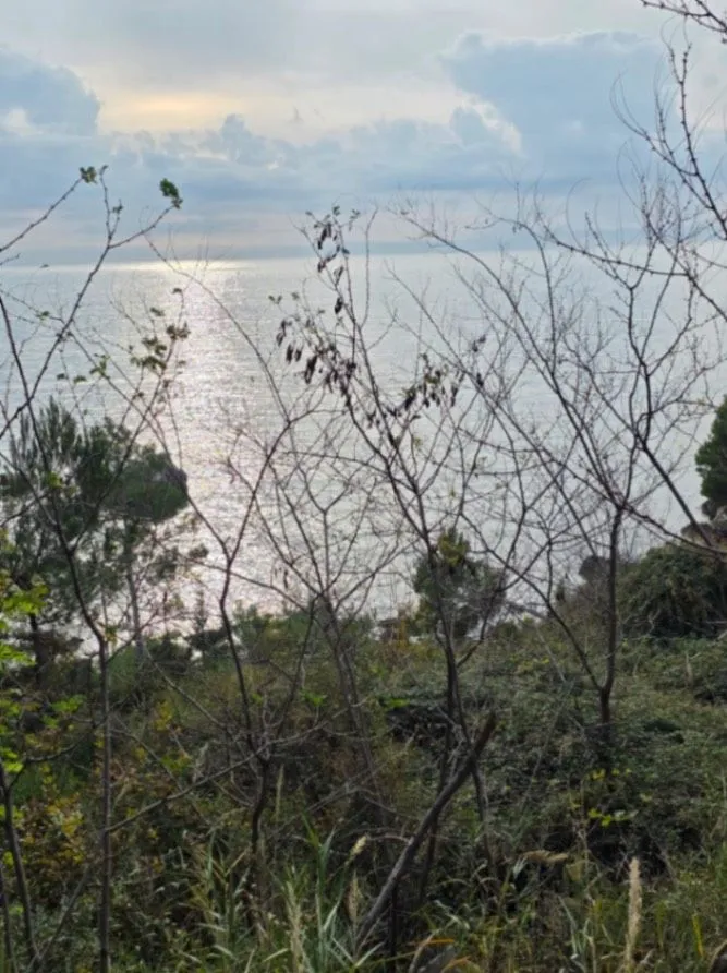 Prodaja, plac, 804m², Šušanj, Bar