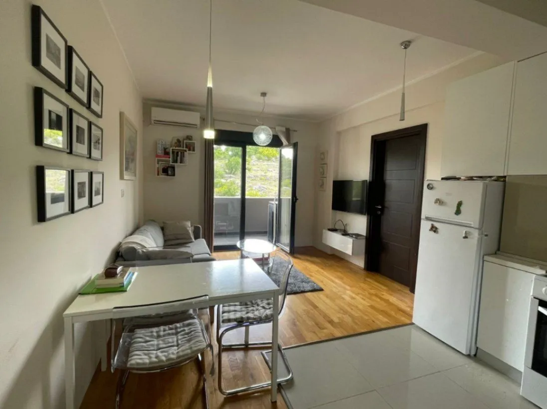 Izdavanje, jednosoban stan, 45m², Vezirov Most, Podgorica