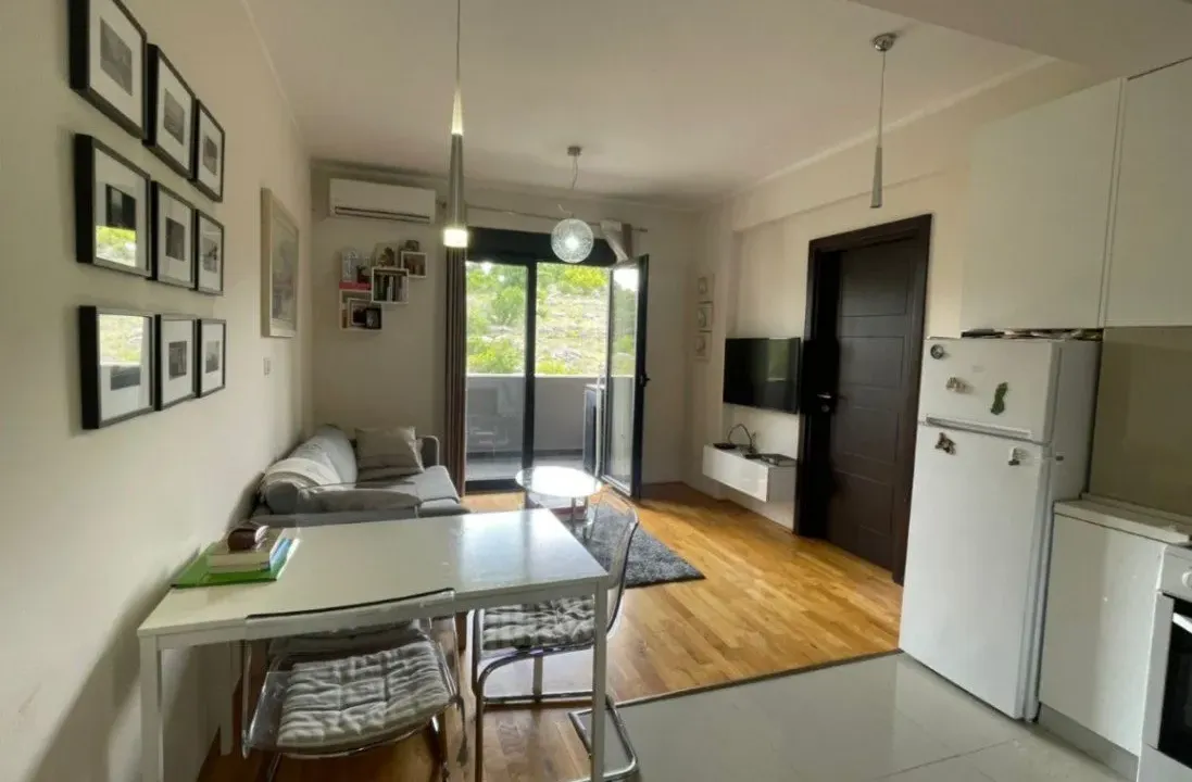 Izdavanje, jednosoban stan, 45m², Vezirov Most, Podgorica