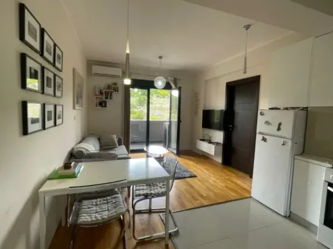 Izdavanje, jednosoban stan, 45m², Vezirov Most, Podgorica