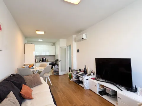 Prodaja, jednosoban stan, 45m², Tološka šuma, Podgorica - image 4