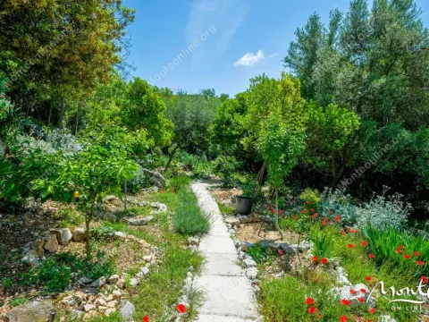 Prodaja, kuća, 177m², Krimovica, Kotor - image 37