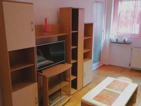 Rent, one bedroom apartment, 40m², Bulevar Oslobodjenja, Novi Sad Sve Podlokacije - image 3