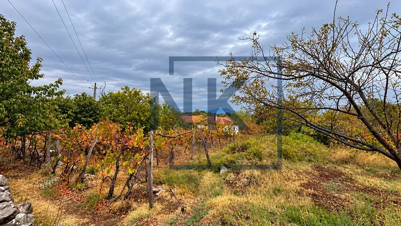 Pogled na voćnjak i vinograd u dvorištu imanja.