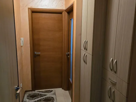 Prodaja, jednosoban stan, 40m², Stari Aerodrom, Podgorica - image 4