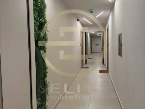 Izdavanje, stan, 42m², Bulevar Evrope, Novi Sad Sve Podlokacije - image 25