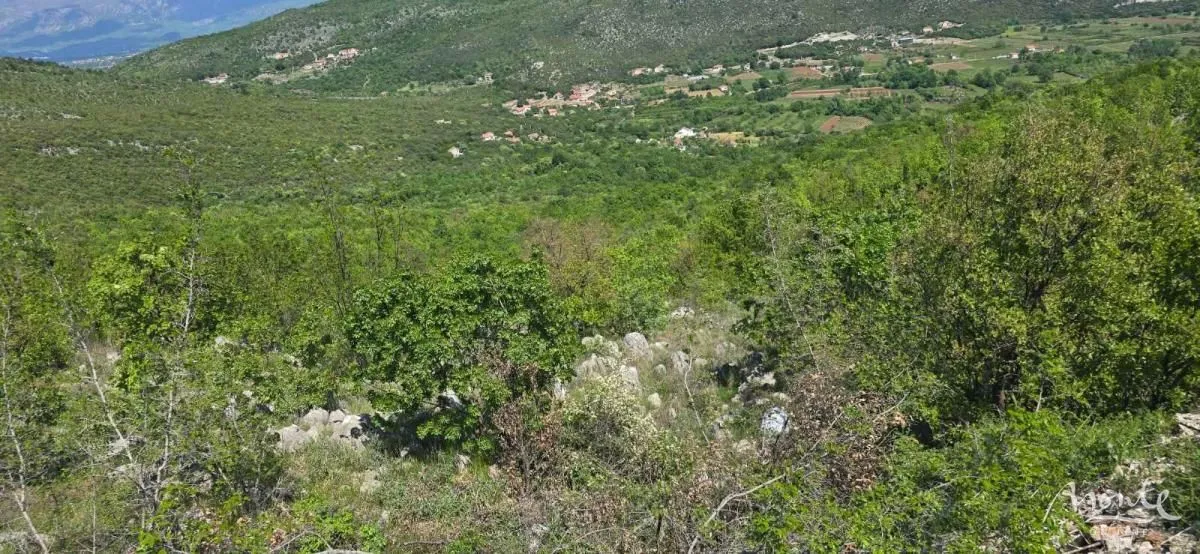 Prodaja, plac, 94785m², Beri, Podgorica
