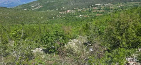 Prodaja, plac, 94785m², Beri, Podgorica - image 7