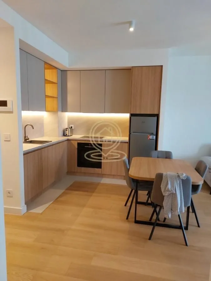 Rent, two bedroom apartment, 55m², Savski Venac, Beograd